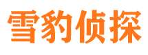 西盟市私家侦探